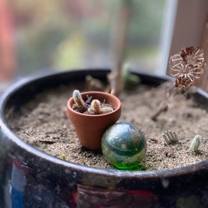 Meet your Posher, Nichole